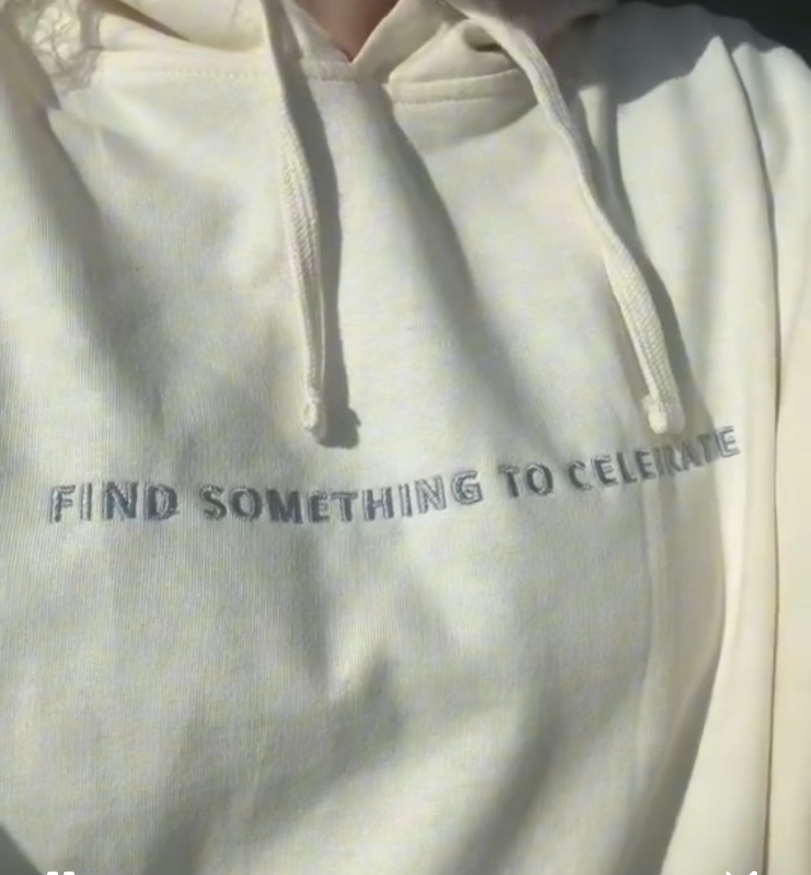 Find Something to Celebrate Hoodie